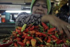 Mendag Klaim Harga Cabai...
