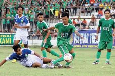 Arena Sabung Ayam