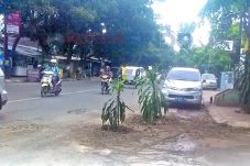 Warga Tanam Bunga di...