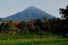 Jalur Pendakian Gunung...
