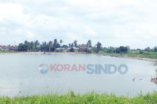 Banjir Meluas ke Perumahan...