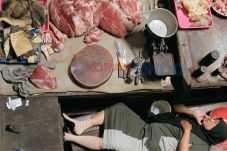 Daging Wajib Lolos Pengecekan...