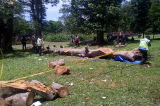 Ini Penuturan Korban...