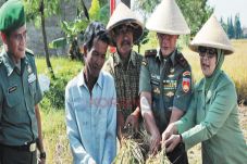 Lahan 1 Hektare Korem...