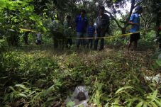 Dikira Batu Mulia, Petani...