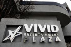 Vivid Entertainment...