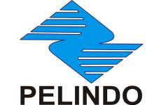 Pelindo I Butuh Dana...