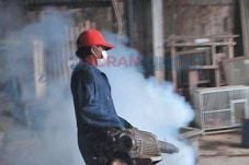 Wabah BDB Menyerang,...