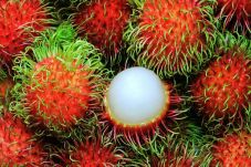 Kaya Zat Besi, Rambutan...