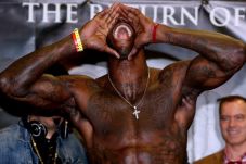 Hadapi Stiverne, Wilder...