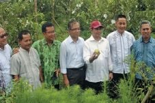 Produk Desa Jadi Komoditas...