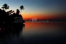 Revitalisasi Teluk Benoa,...