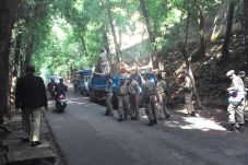 Puluhan Lapak PKL di...