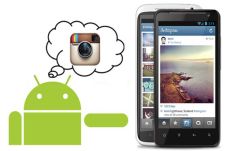 Instagram Buka Program...