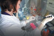 Stem Cell Sembuhkan...