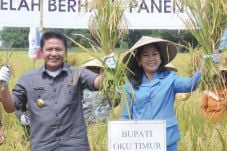 Berkembang di OKU Timur