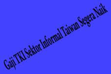 Gaji TKI Sektor Informal...