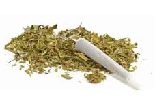 Konsumsi Ganja, Dua...