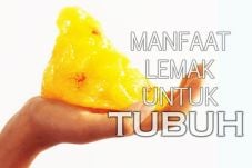 Manfaat Lemak bagi Tubuh