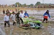 Ingin Varietas Unggulan,...