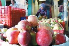 Petani Dukung Apel AS...