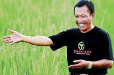 TO Suprapto Manfaatkan...