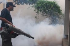Bahaya! Fogging Bisa...