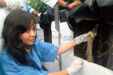 Genjot Produksi, Perlakukan...