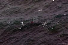 TNI-Polri Sisir Perairan...