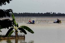 Ribuan Hektare Sawah...