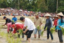 Antara Kerja dan Citra