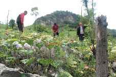 Pegunungan Kendeng Terancam...
