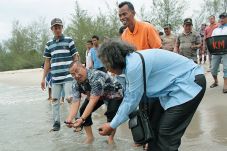 Pantai Binasi Diproyeksi...