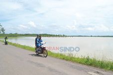 500 Ha Padi Petani Puso