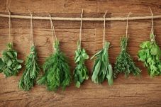 7 Tanaman Herbal untuk...