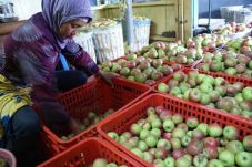 Pemkot Pastikan Bandung...