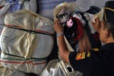 Mendag: Indonesia Sudah...