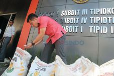 24 Tahun Timbun Pupuk...