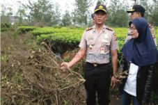 Polisi Minta Warga Serahkan...