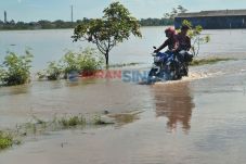 Puluhan Hektare Tambak...