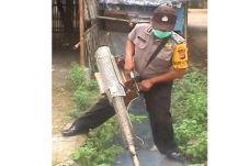 DBD Serang 215 Warga