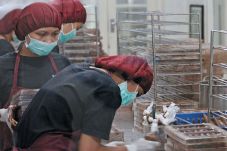 Omzet Penjualan Cokelat...