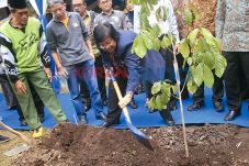 Daerah Diminta Aktif...