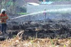 10 Hektare Lahan di...