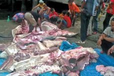 Nelayan Tanjung Tiram...
