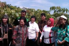 Kerusakan Hutan Mencapai...