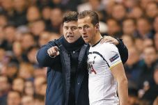 The Lilywhites Bidik...