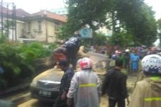 Pohon Asem Tumbang,...