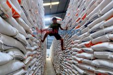 Kenaikan Harga Beras...