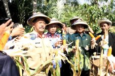 Bantuan Lumbung Pangan...